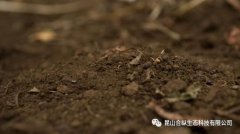 土壤到底有多重要？