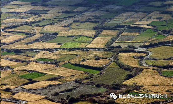 你应该了解的各种重金属污染土壤修复技术