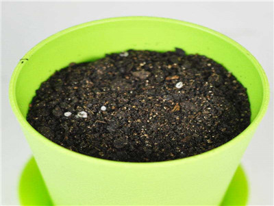 花盆有机营养土通用型