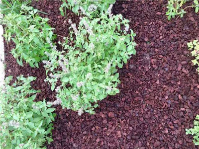 苏州园林有机覆盖物生产厂家哪家好? 苏州园林有机覆盖物生产厂家哪家好?