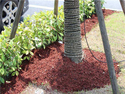 苏州园林有机覆盖物生产厂家哪家好? 苏州园林有机覆盖物生产厂家哪家好?