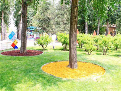 有机覆盖物的价格是多少呢? 有机覆盖物的价格是多少呢?