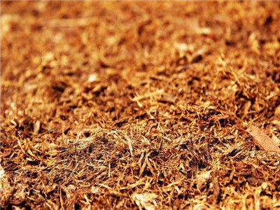 有机覆盖物的价格是多少呢? 有机覆盖物的价格是多少呢?