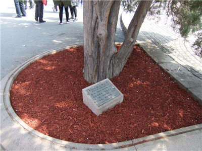 有机覆盖物的价格是多少呢? 有机覆盖物的价格是多少呢?