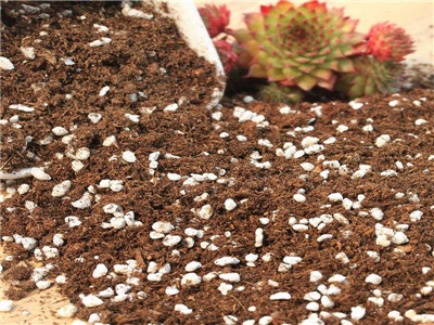 有机营养土怎么做呢 有机营养土怎么做呢