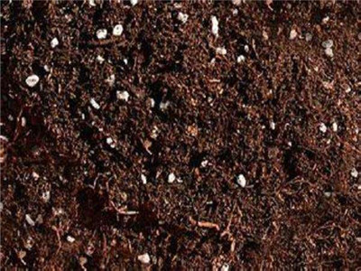 有机营养土怎么做呢 有机营养土怎么做呢