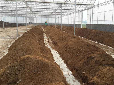有机营养土怎么做呢 有机营养土怎么做呢