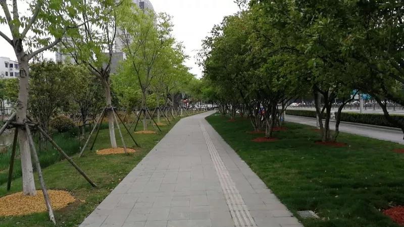 解析园林覆盖物——落叶化土,回馈自 解析园林覆盖物——落叶化土,回馈自