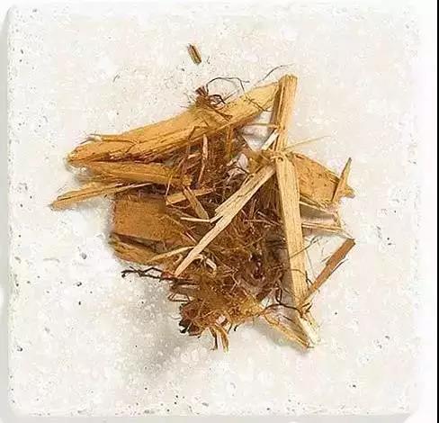 解析园林覆盖物——落叶化土,回馈自 解析园林覆盖物——落叶化土,回馈自