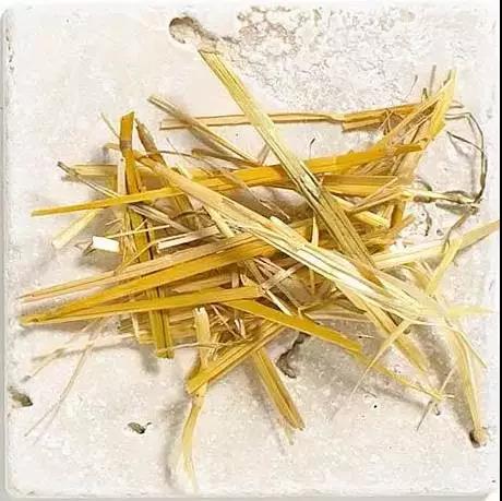 解析园林覆盖物——落叶化土,回馈自 解析园林覆盖物——落叶化土,回馈自