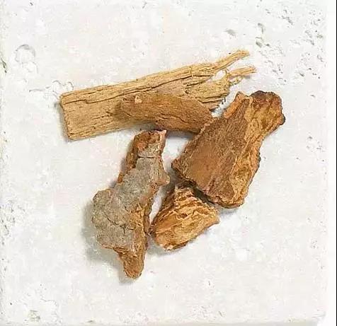 解析园林覆盖物——落叶化土,回馈自 解析园林覆盖物——落叶化土,回馈自