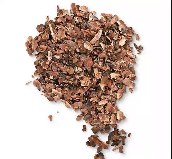 解析园林覆盖物——落叶化土,回馈自 解析园林覆盖物——落叶化土,回馈自