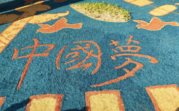 有机覆盖物的的作用 有机覆盖物的的作用