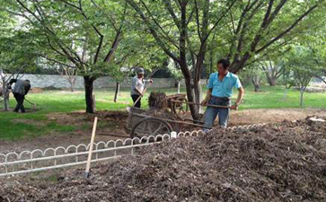 园林绿化废弃物处理现状 园林绿化废弃物处理现状