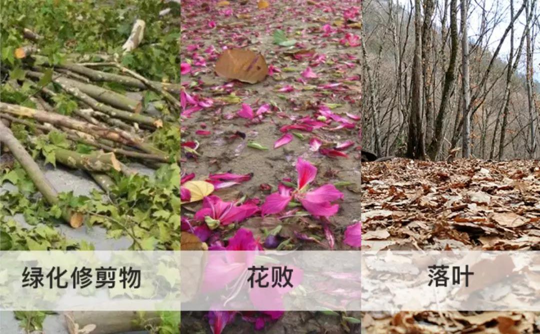 园林绿化废弃物处理现状及国外处理方式