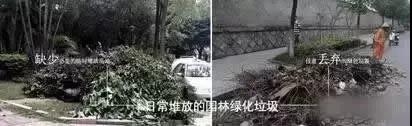 园林绿化废弃物处理现状及国外处理方式