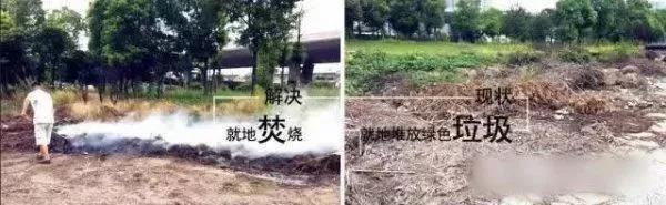 园林绿化废弃物处理现状及国外处理方式