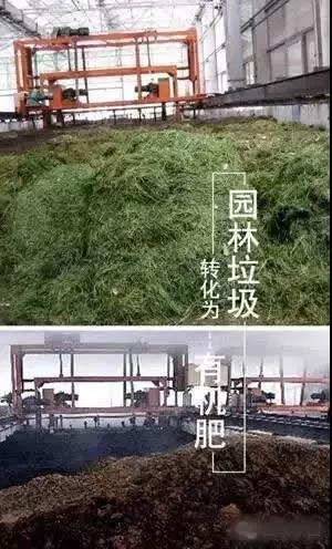 园林绿化废弃物处理现状及国外处理方式