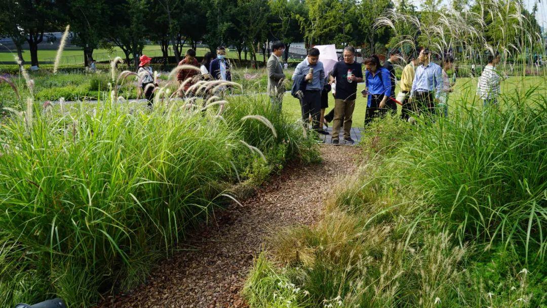 园林绿化垃圾合纵之路！百城大合纵讲坛成功举