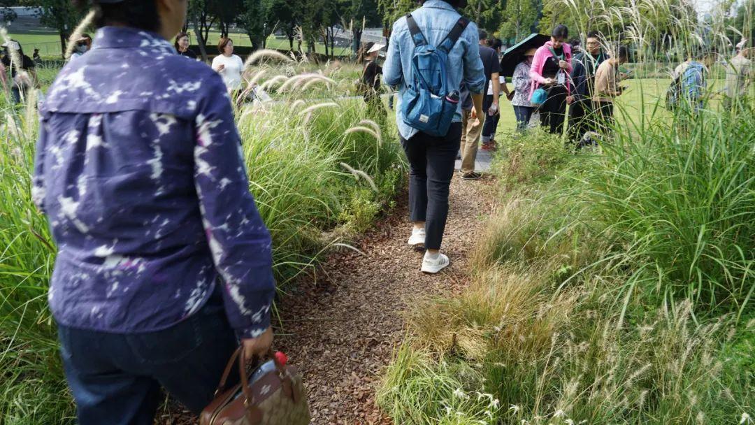 园林绿化垃圾合纵之路！百城大合纵讲坛成功举