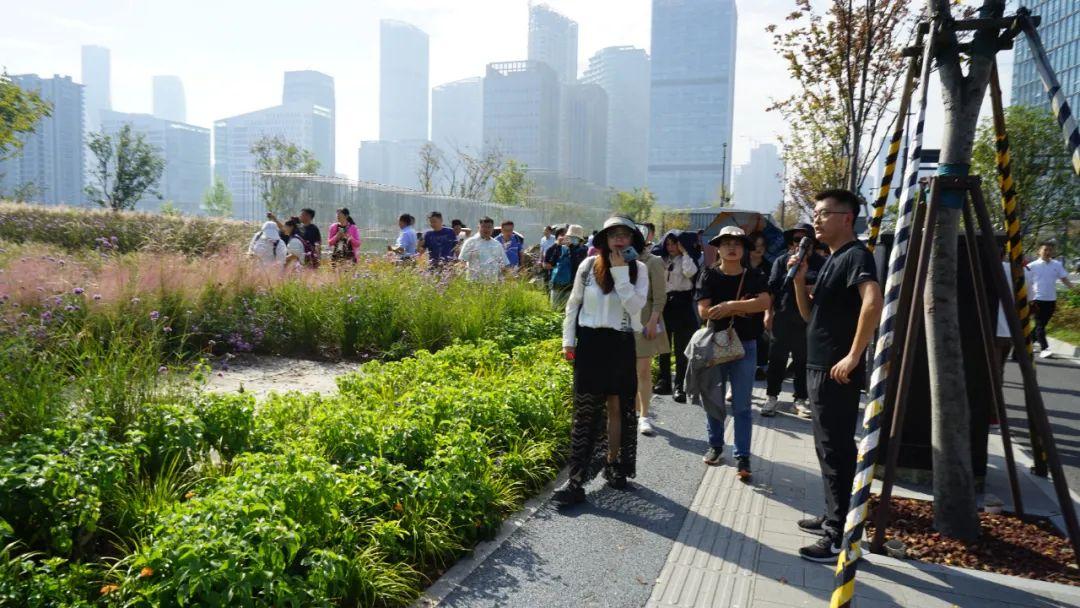 园林绿化垃圾合纵之路！百城大合纵讲坛成功举