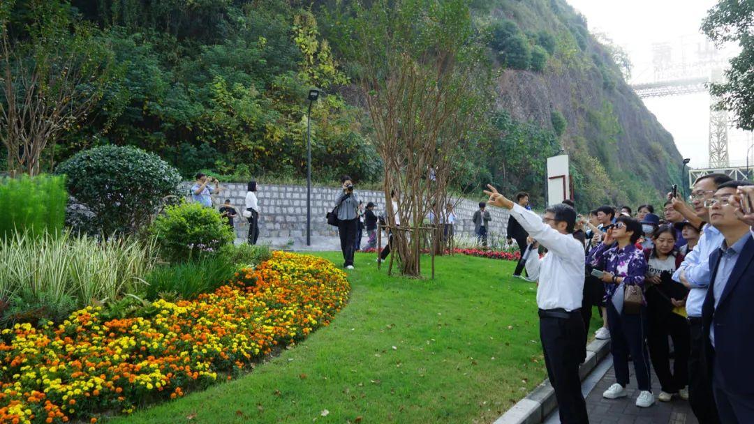 园林绿化垃圾合纵之路！百城大合纵讲坛成功举